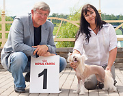 Региональная выставка собак Беларусь Могилев