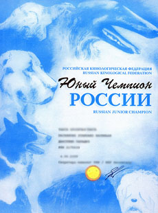 сертификат РКФ - ЮНЫЙ ЧЕМПИОН РОССИИ